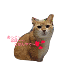 家族っておもしろいわ（個別スタンプ：1）