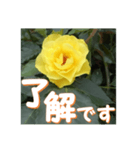 薔薇の花♡GB_挨拶メッセージ（個別スタンプ：1）