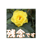 薔薇の花♡GB_挨拶メッセージ（個別スタンプ：6）