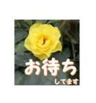 薔薇の花♡GB_挨拶メッセージ（個別スタンプ：8）