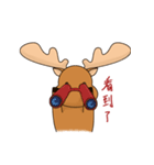 MiTai Moose Morning to Night（個別スタンプ：4）