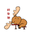 MiTai Moose Morning to Night（個別スタンプ：11）
