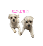 マルっこ（個別スタンプ：6）