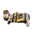 かわいい犬の寝顔（個別スタンプ：3）