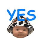 Sanders（個別スタンプ：13）