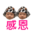 Sanders（個別スタンプ：30）
