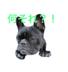 フレブルのTurbo！（個別スタンプ：6）