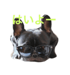 フレブルのTurbo！（個別スタンプ：19）