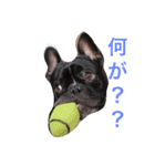 フレブルのTurbo！（個別スタンプ：20）