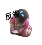 娘スタンぷ（個別スタンプ：3）
