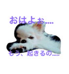 れぽば（個別スタンプ：3）