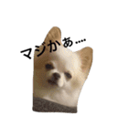 れぽば（個別スタンプ：4）