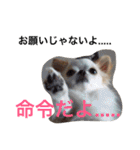 れぽば（個別スタンプ：11）