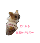 れぽば（個別スタンプ：12）