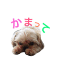 れぽば（個別スタンプ：13）