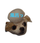 れぽば（個別スタンプ：18）