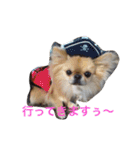 れぽば（個別スタンプ：28）