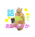 菊池家の猫様方（個別スタンプ：7）