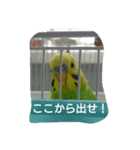 ぷいぷいとぷくぷく（個別スタンプ：4）