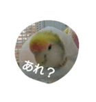ぷいぷいとぷくぷく（個別スタンプ：7）