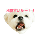 しゃくれのサリー（個別スタンプ：1）