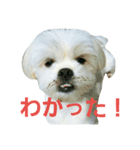 しゃくれのサリー（個別スタンプ：3）