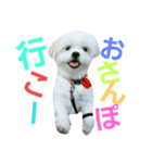 しゃくれのサリー（個別スタンプ：4）