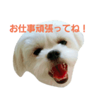 しゃくれのサリー（個別スタンプ：6）