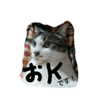 今日のはなちゃん（個別スタンプ：2）