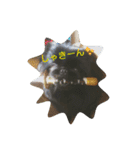 おれおとれもんとのあ（ペキニーズトリオ）（個別スタンプ：5）