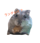 ノンタン（個別スタンプ：3）