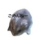 ノンタン（個別スタンプ：5）