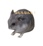 ノンタン（個別スタンプ：7）