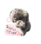 くろぷーちゃんとお友だち♡（個別スタンプ：7）