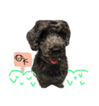 くろぷーちゃんとお友だち♡（個別スタンプ：10）
