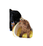 くろぷーちゃんとお友だち♡（個別スタンプ：40）