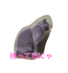 愉快なネコ達（個別スタンプ：6）