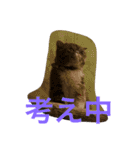 愉快なネコ達（個別スタンプ：13）