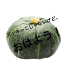 ズッキーニの祭典！（個別スタンプ：5）