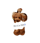 トイプ～くん（個別スタンプ：3）