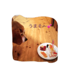 かわいいショコラ（個別スタンプ：2）