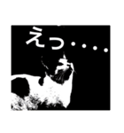 straycat says（個別スタンプ：6）