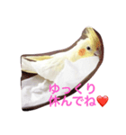 オカメインコのるびー4（個別スタンプ：14）