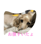 クウしゃん（個別スタンプ：1）