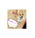 Shaula no Sticker（個別スタンプ：5）