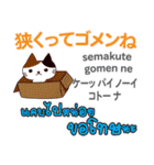 ごめんね猫日本語タイ語（個別スタンプ：3）