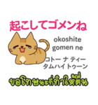 ごめんね猫日本語タイ語（個別スタンプ：6）