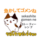 ごめんね猫日本語タイ語（個別スタンプ：15）