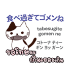 ごめんね猫日本語タイ語（個別スタンプ：17）
