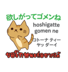 ごめんね猫日本語タイ語（個別スタンプ：18）